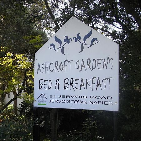Ashcroft Gardens Bed & Breakfast Нейпір Екстер'єр фото